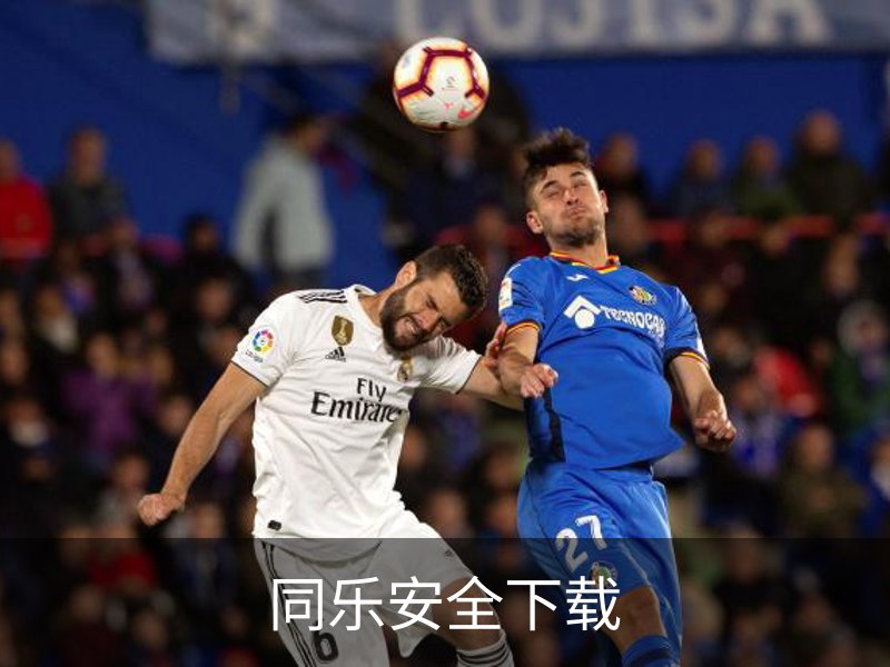 走进同乐安全下载